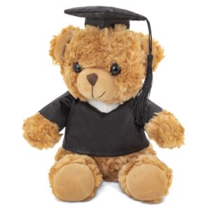 PELUCHE OSITO GRADUADO "TOTI"