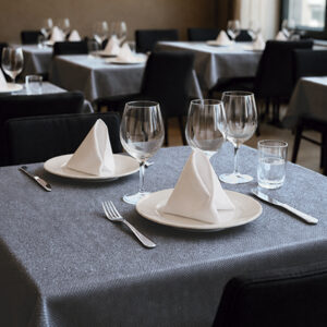 Mantel desechable grande HOSTEX
