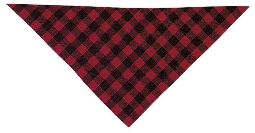 Pañuelo triangular CACHIRULO - Imagen 7