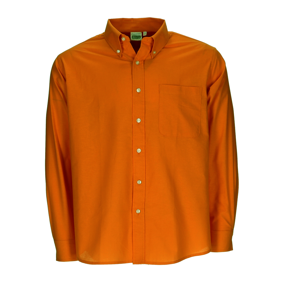 Camisa M/L GRADUATION - Imagen 3